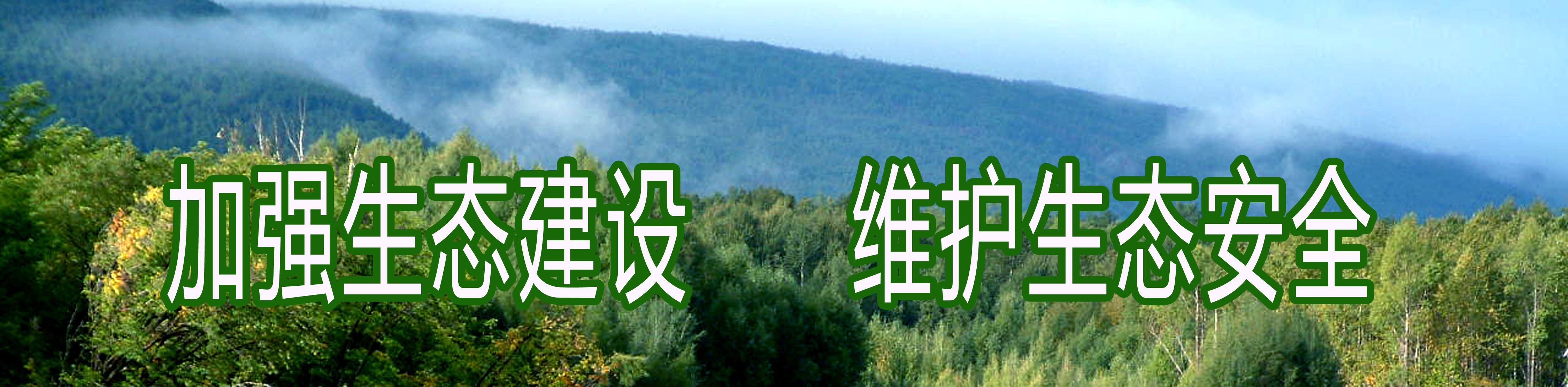 ����ͼƬ��